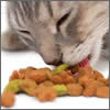 list-food