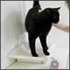 list-weigh