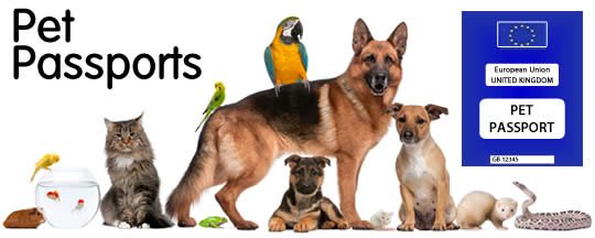 Pet passport best sale for birds